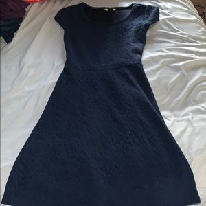 Blue Fit and Flare Dress